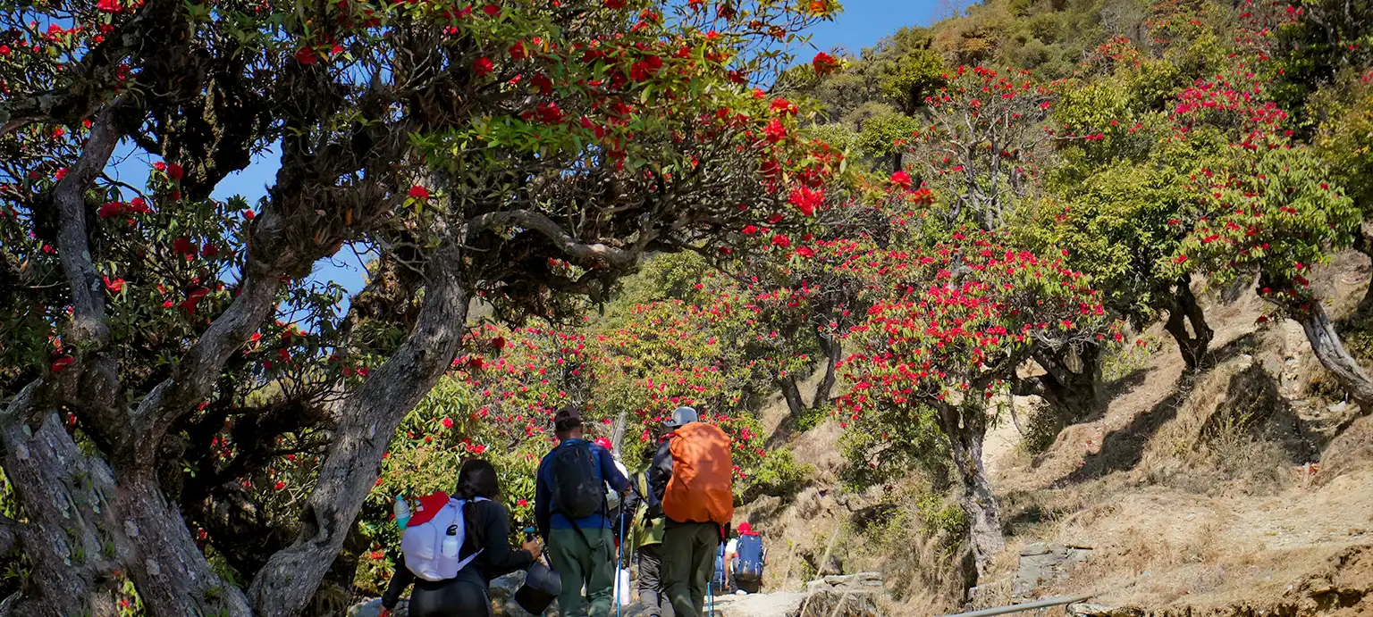 brahmatal trek slider